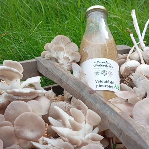 Velouté De Pleurotes - 75cl