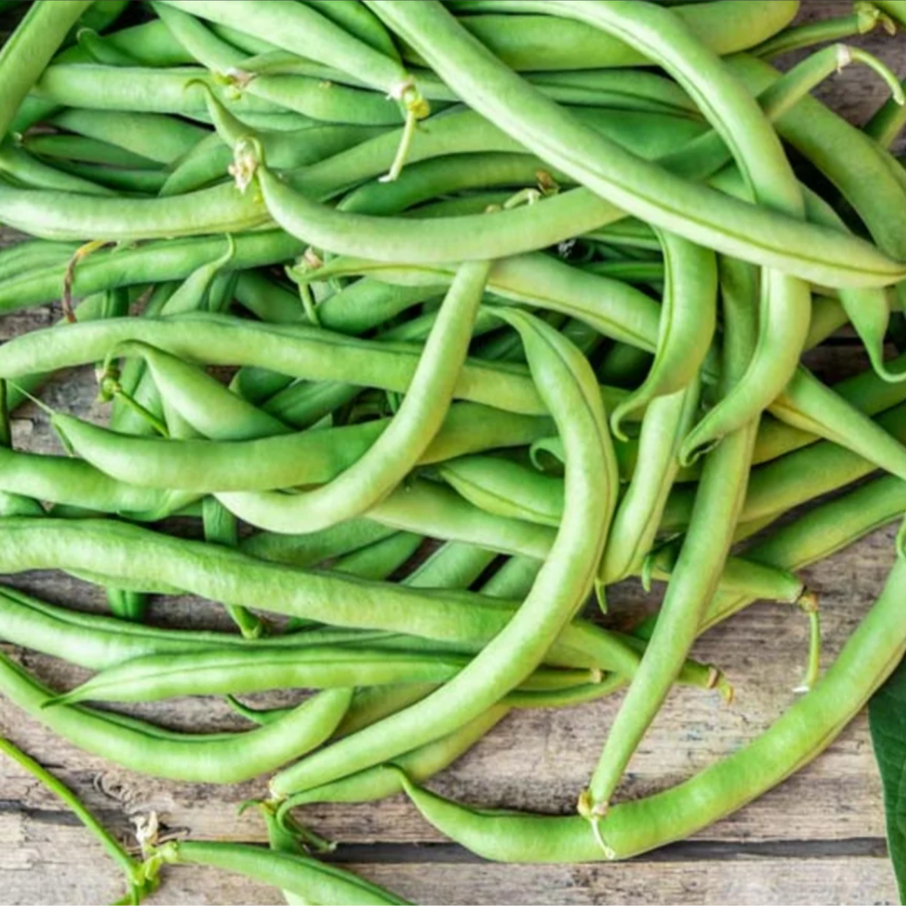 Haricot vert