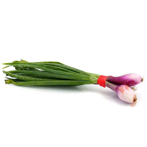 Oignon rouge (botte)