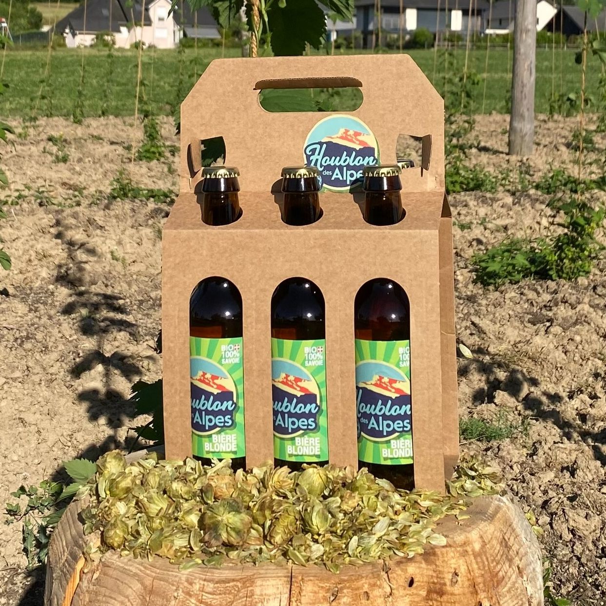 Pack de 6 Bières Blonde Bio Houblon des Alpes 33 Cl 4.8% Vol.
