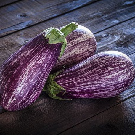 Plant - Aubergine marbrée / listada de gandia