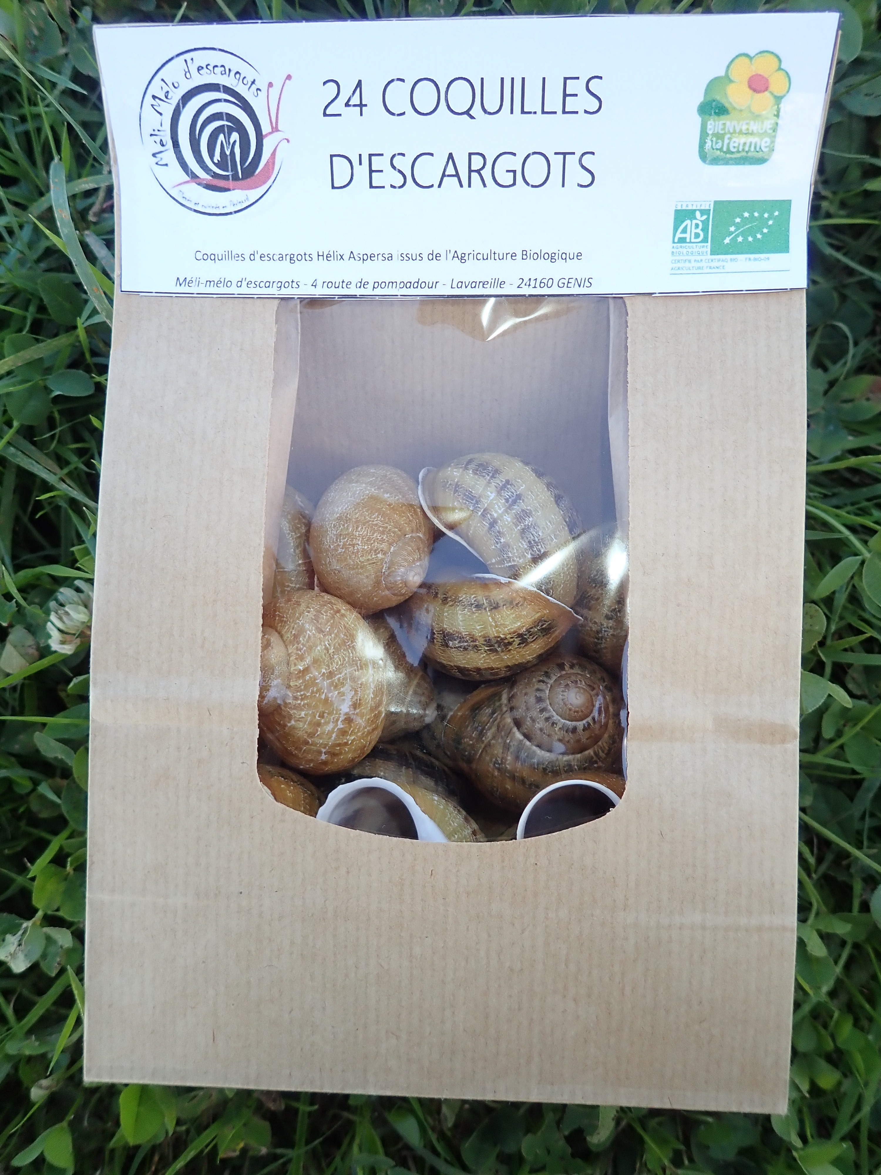 Coquilles d'escargots VIDES