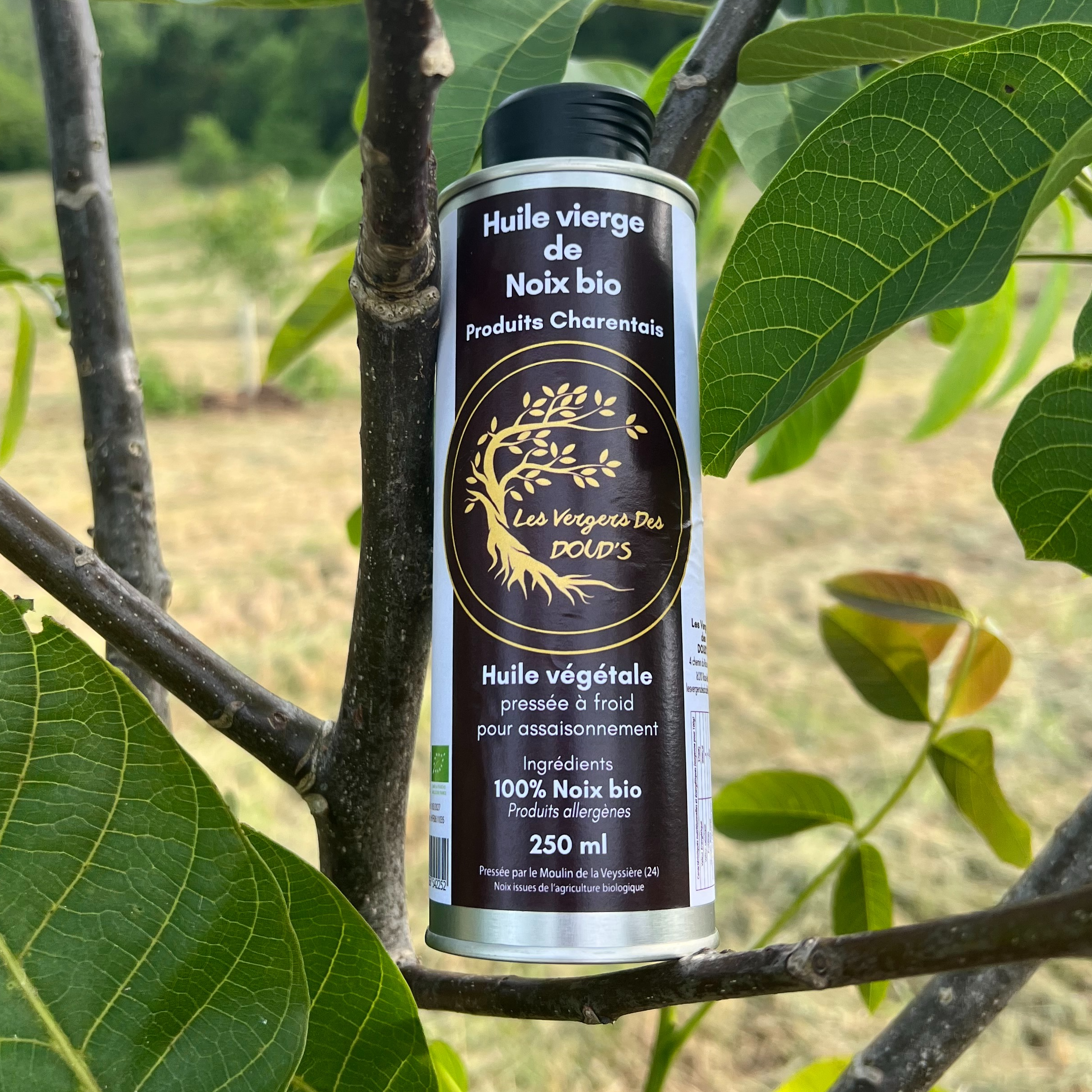 Huile de Noix pressé à froid, - 500ml