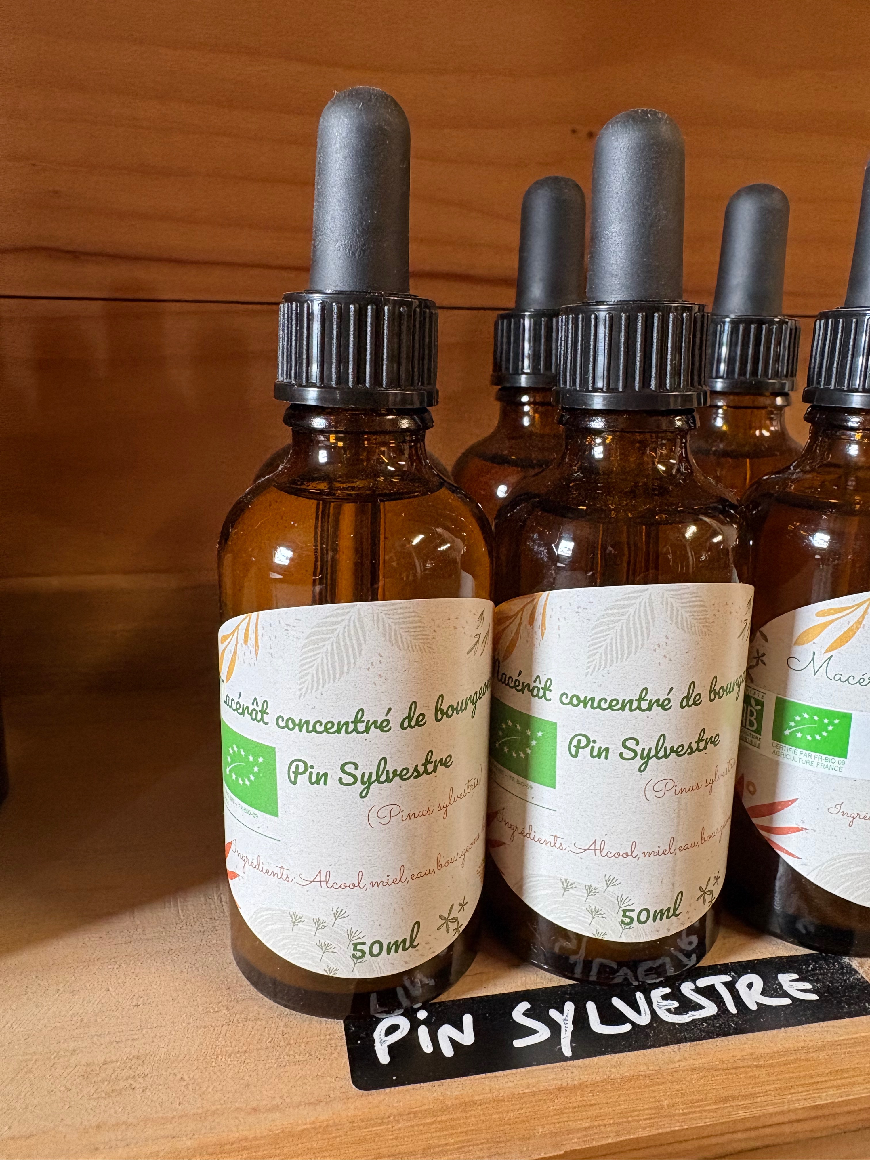 Macérât concentré de bourgeons de pin sylvestre 50 ml - 150g