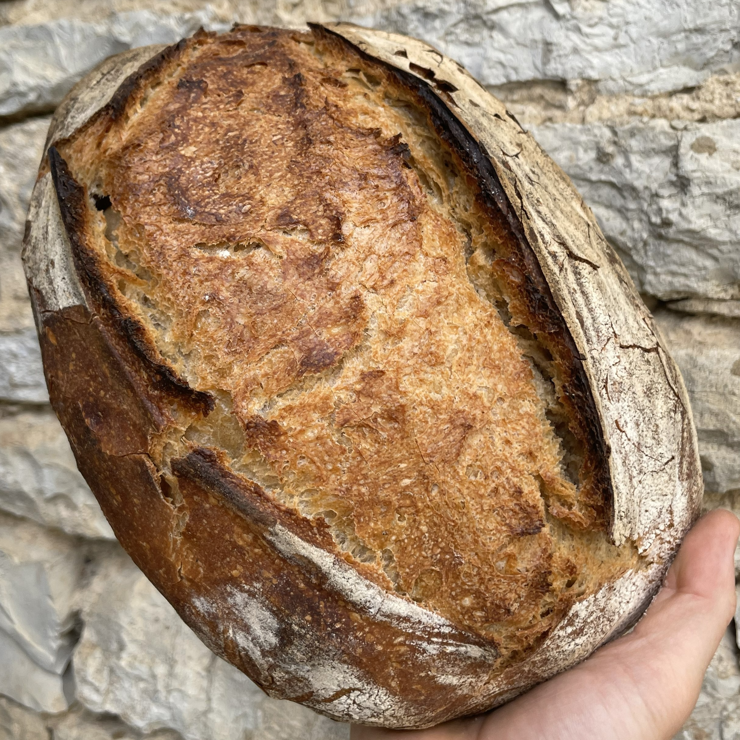 Pain de campagne - 900g