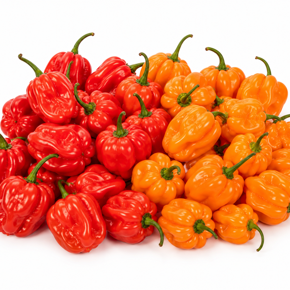 Piment Habanero