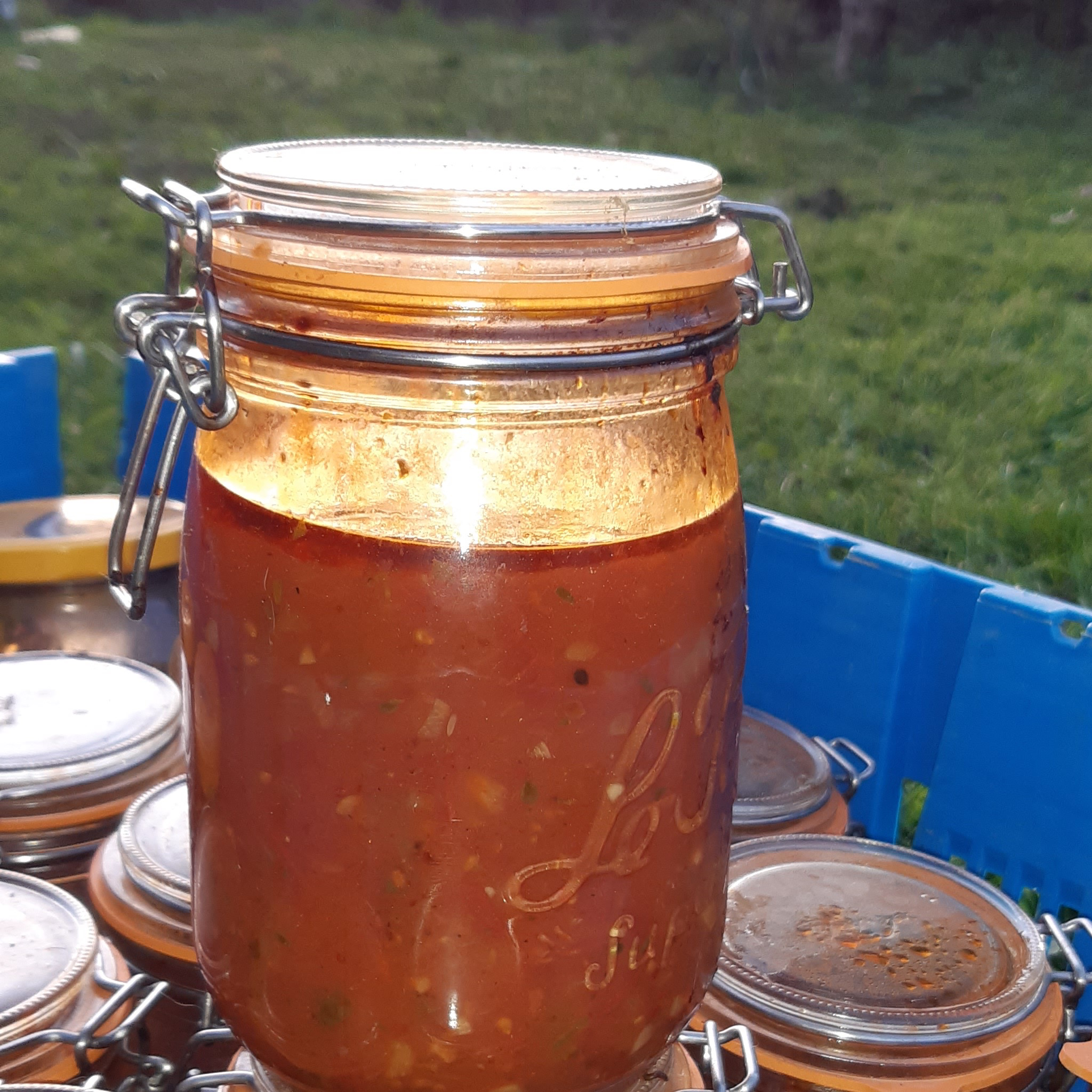 Sauce tomate aromatisée - 1kg