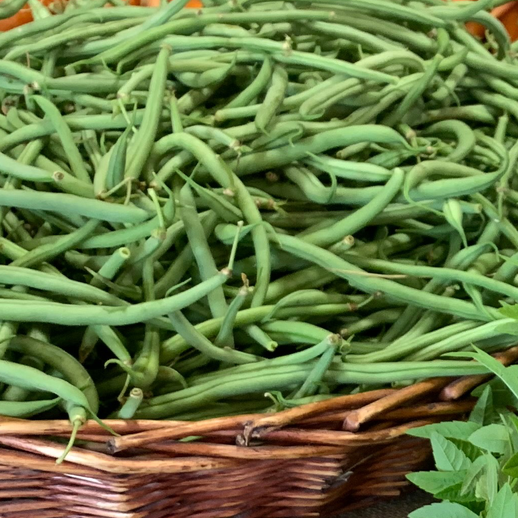 Haricots verts