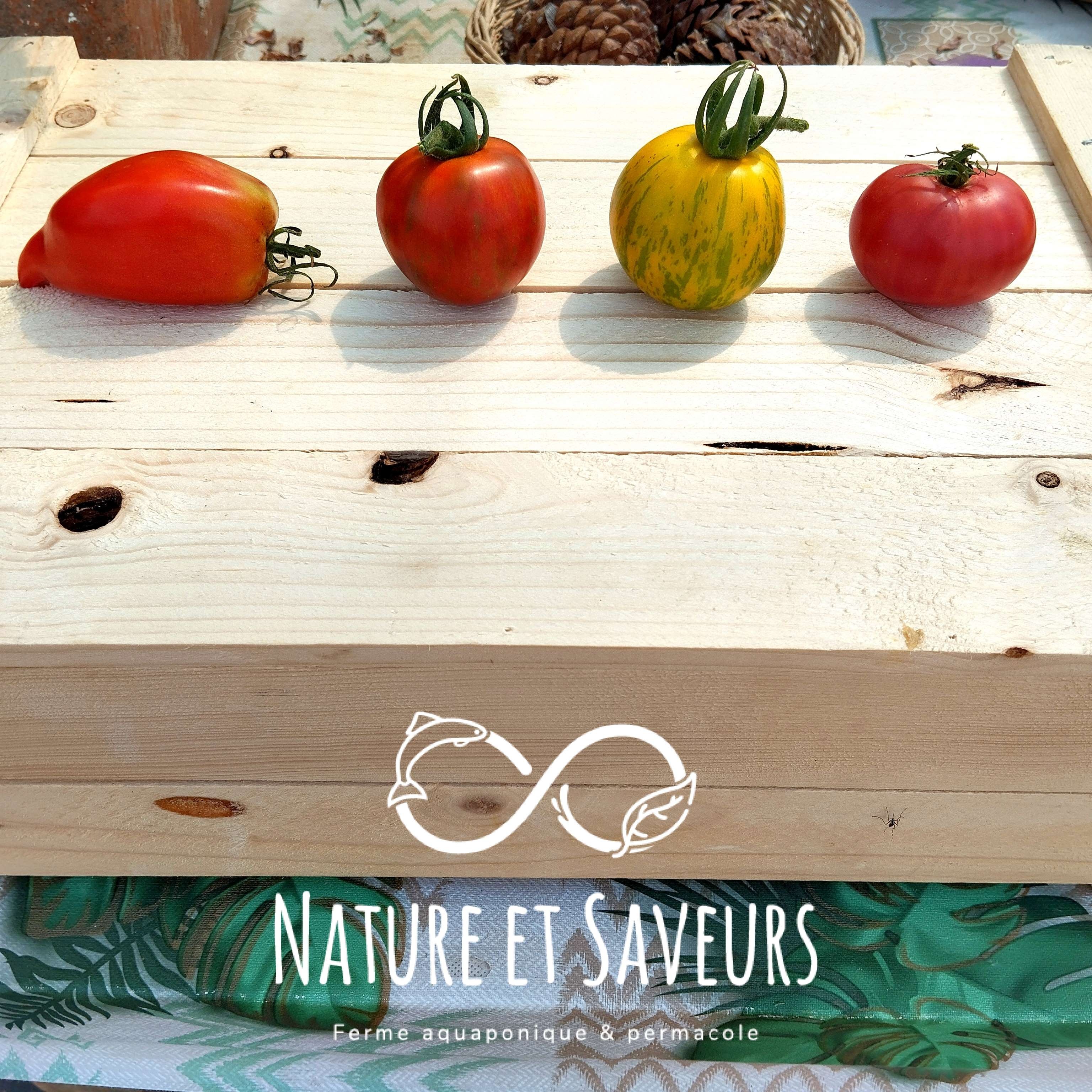 Tomate moyenne en mélange - 500g - 500g
