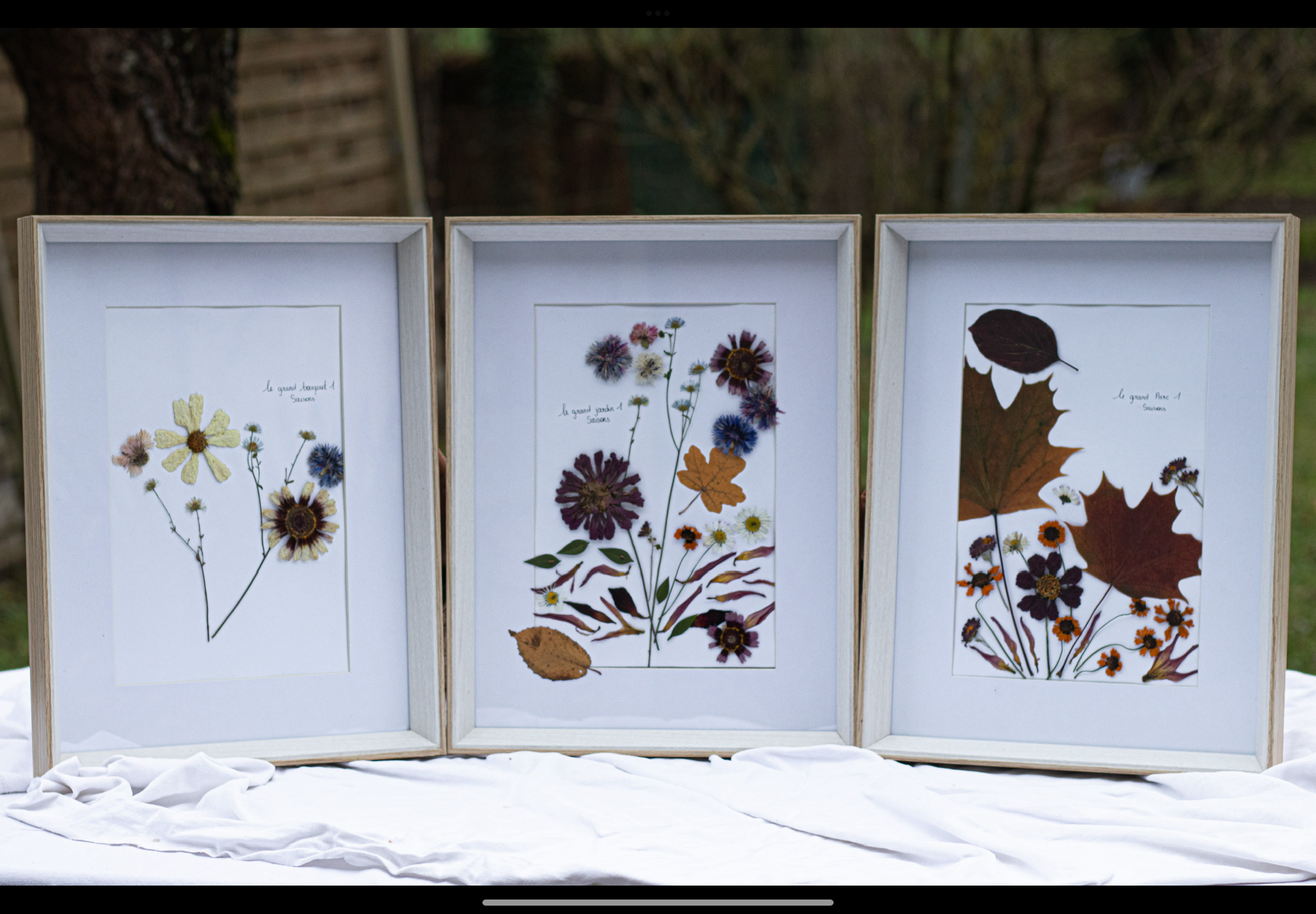 Grande composition de fleurs pressées 🌸