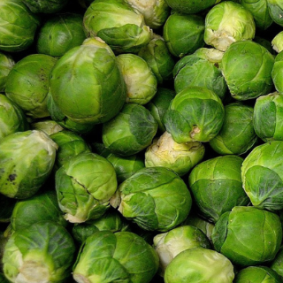 Choux de Bruxelles