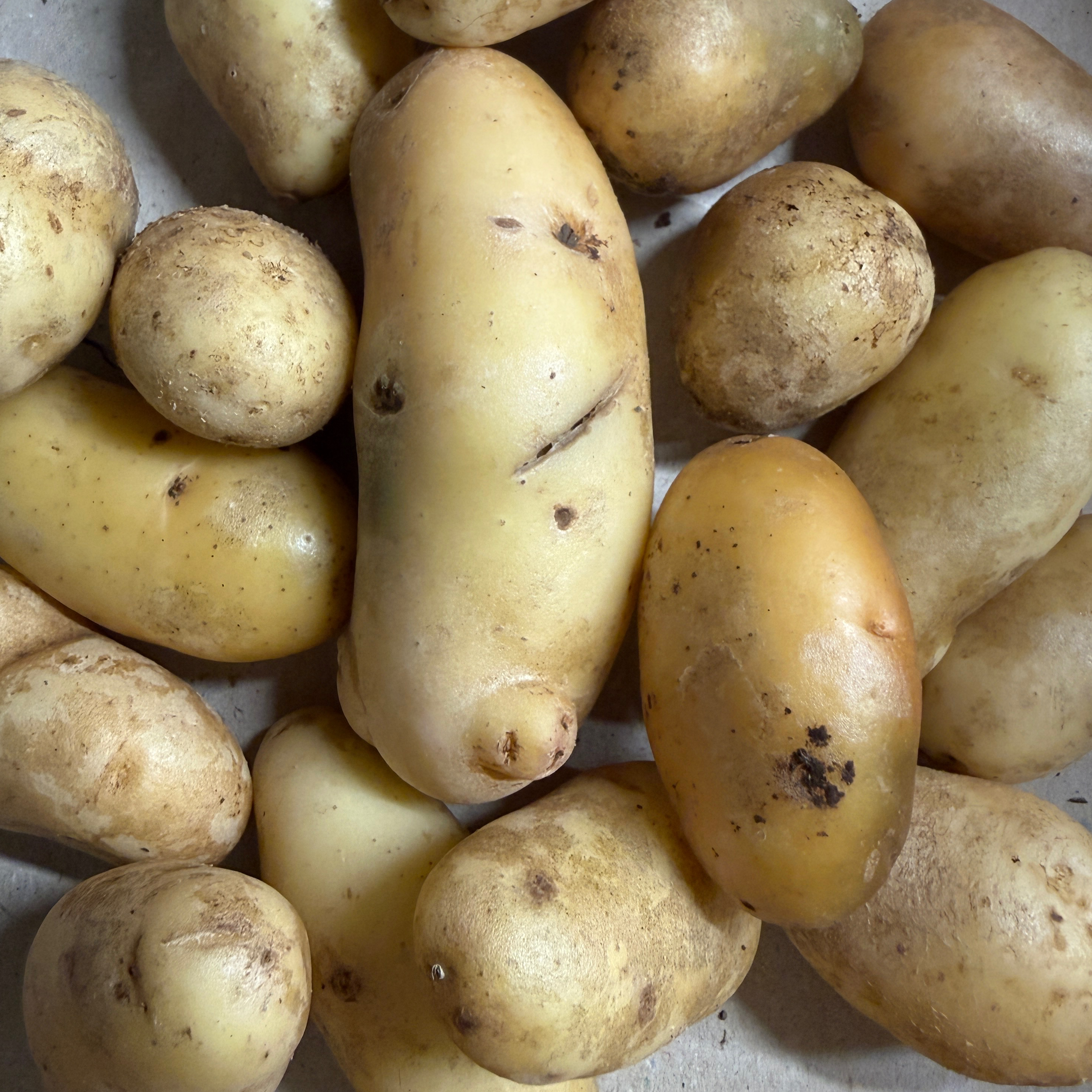 Pomme de terre grenaille - 1kg