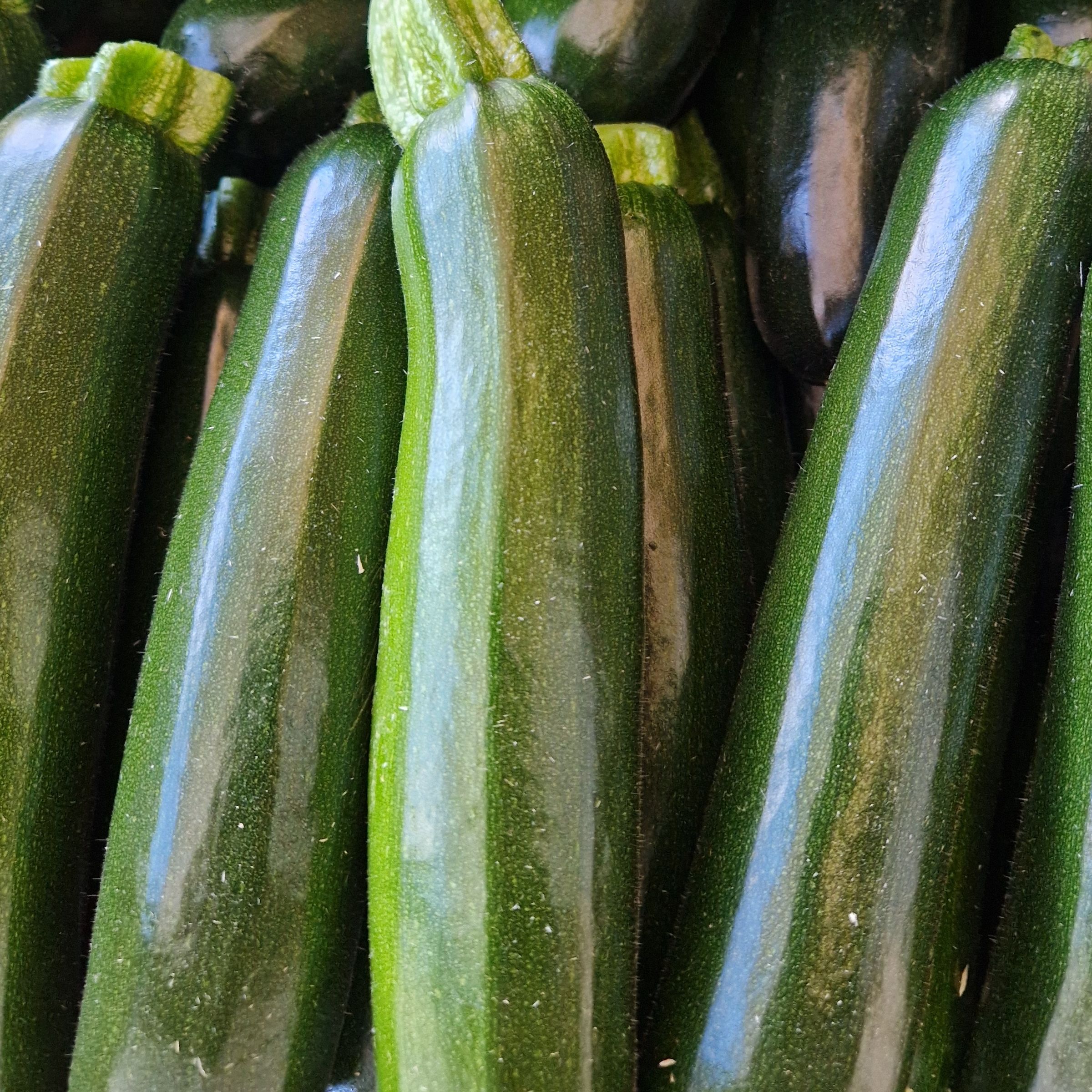 COURGETTE