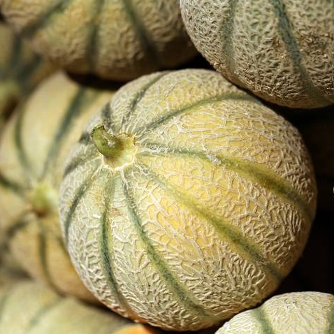 Melon (moyen) - 1kg