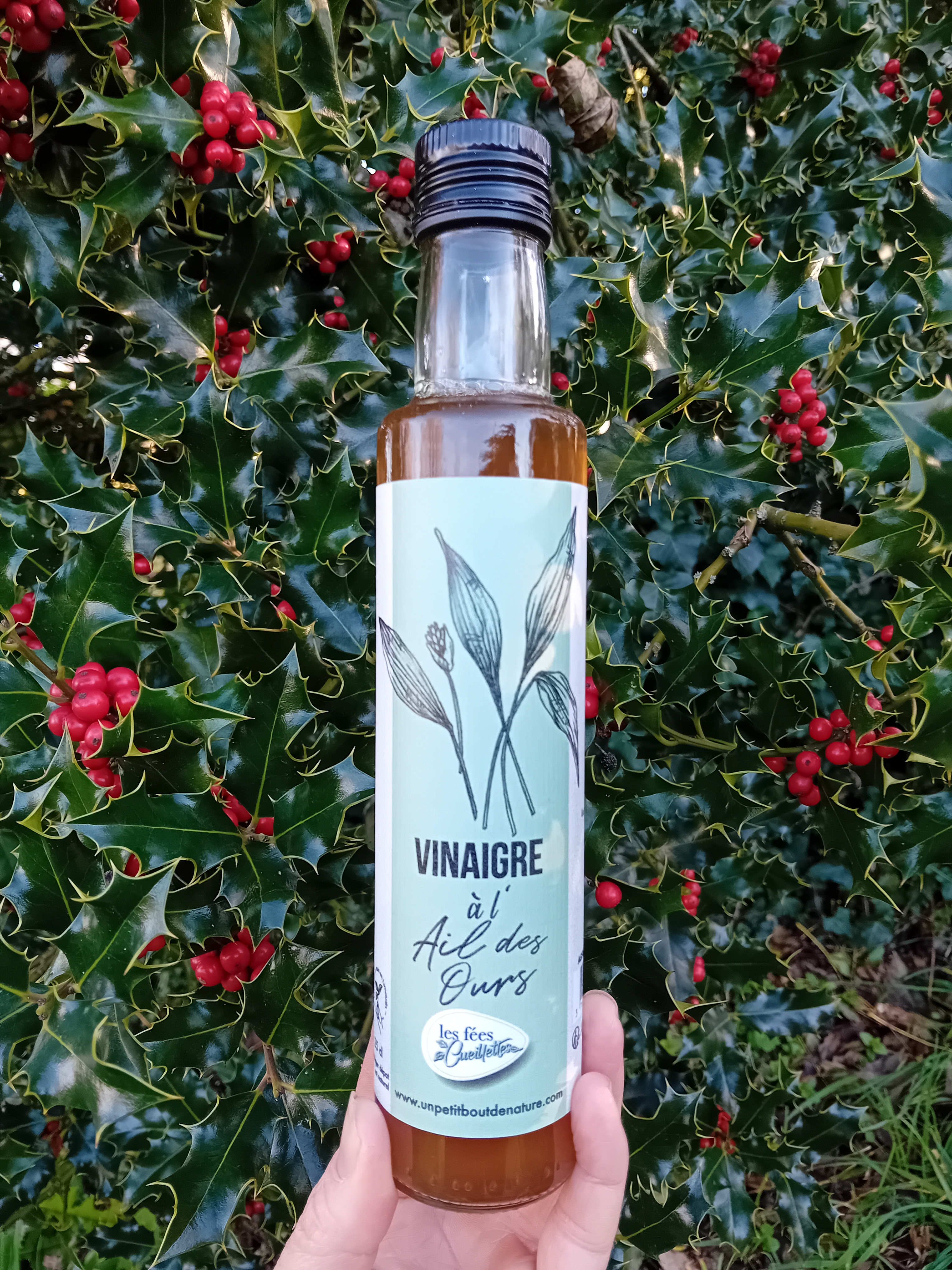 Vinaigre aromatisé à l'ail des ours