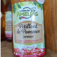 Pétillant de Pomme nature 0.75 L - (La Ferme des Amélias)- - 125g