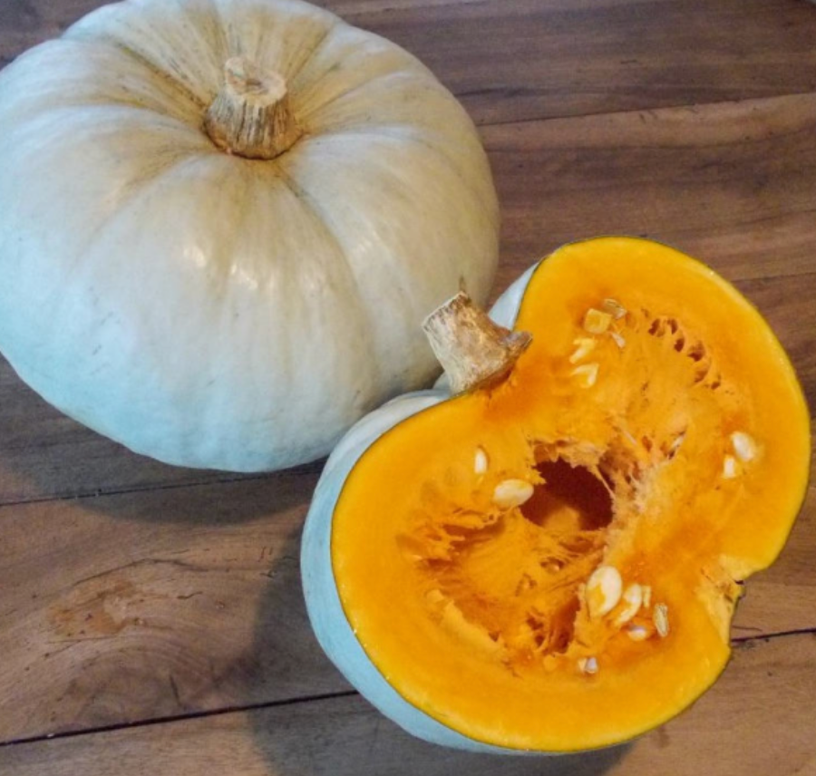 Courge Bleue de Hongrie - 1kg