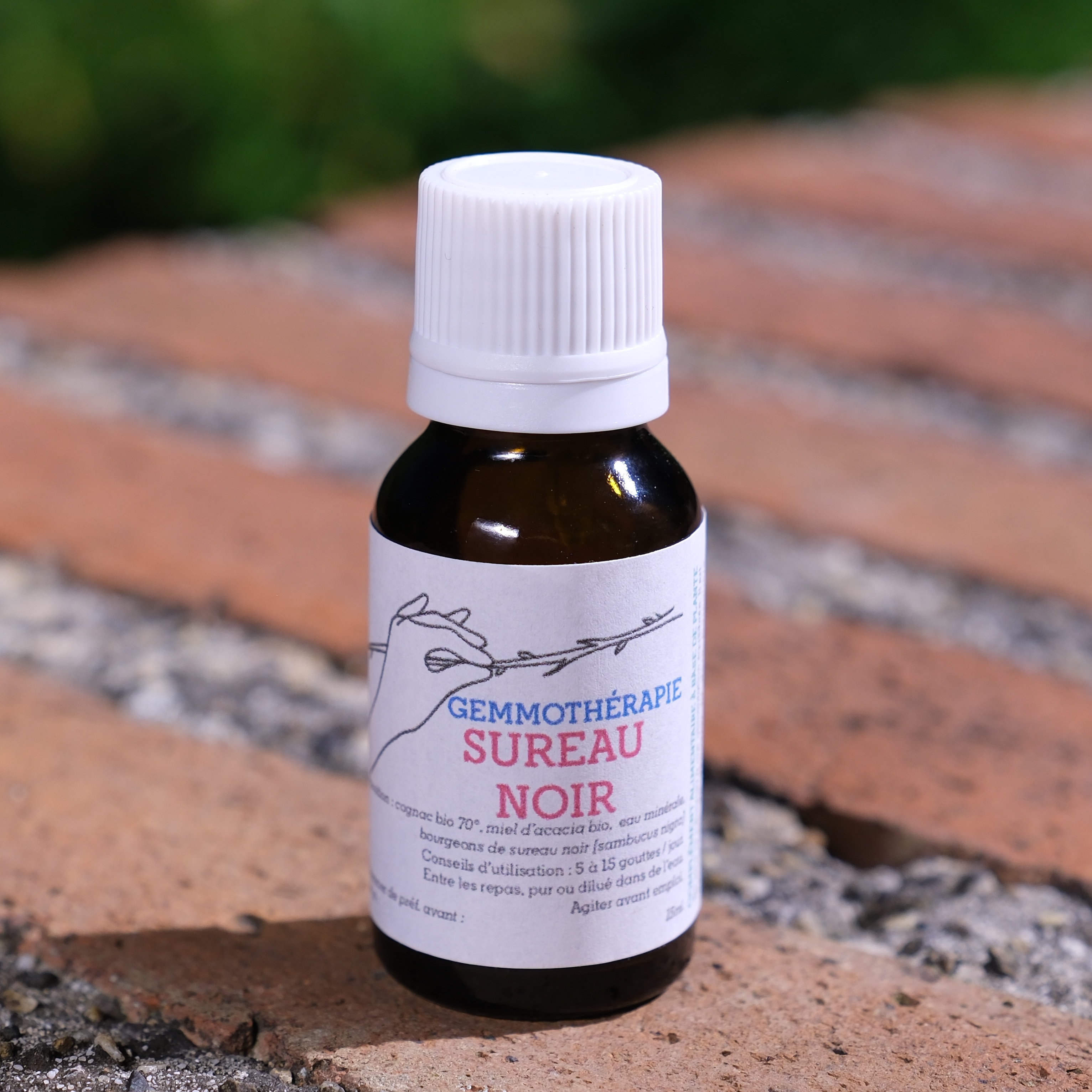 Sureau • Immunité & Respiration - 15ml