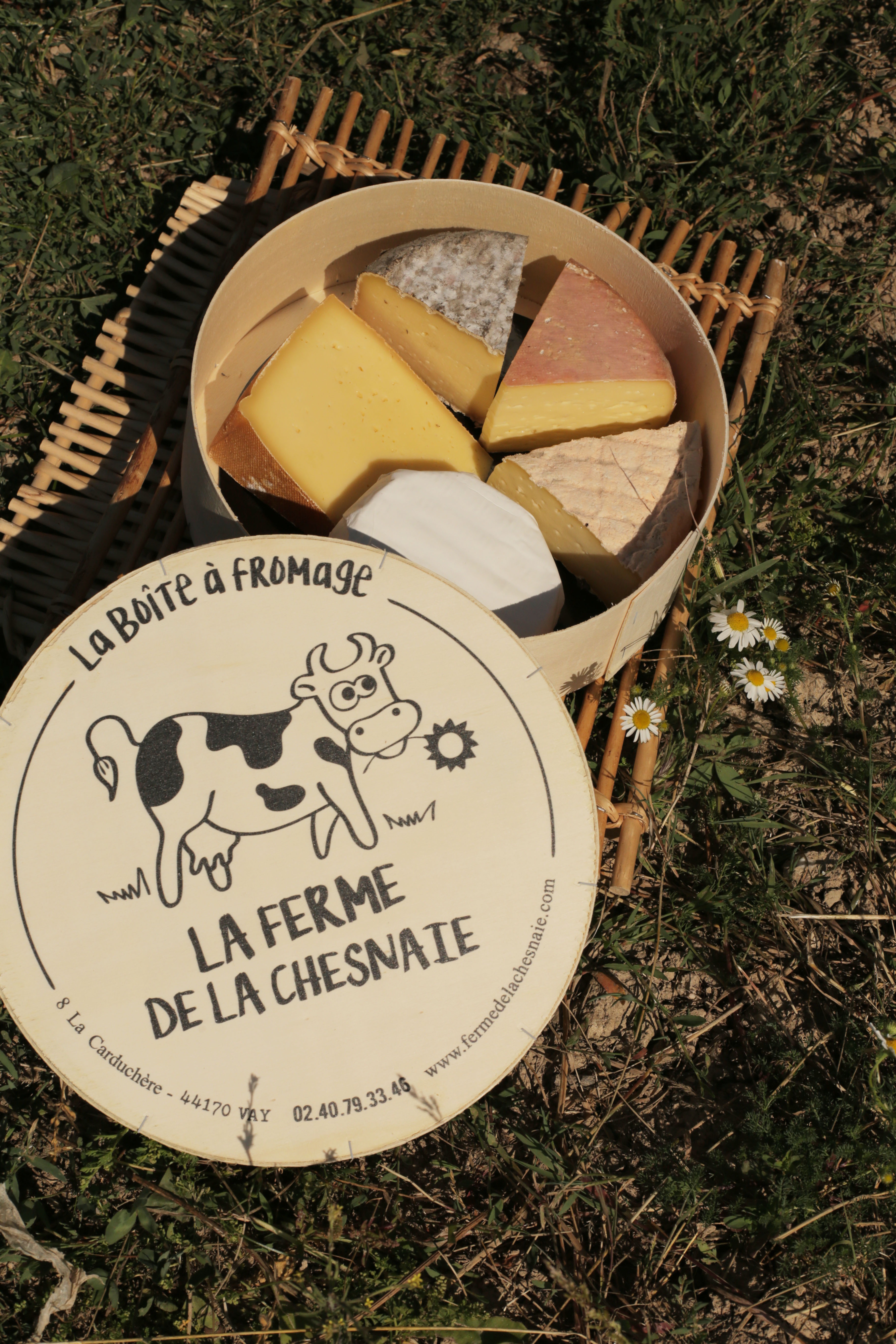 Boîtes 15 à 20 personnes