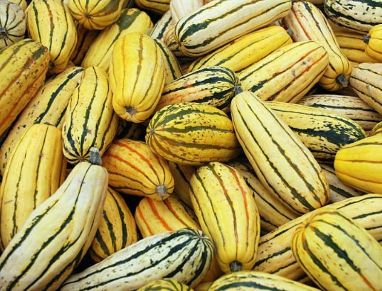 Courge Delicata B - 1kg