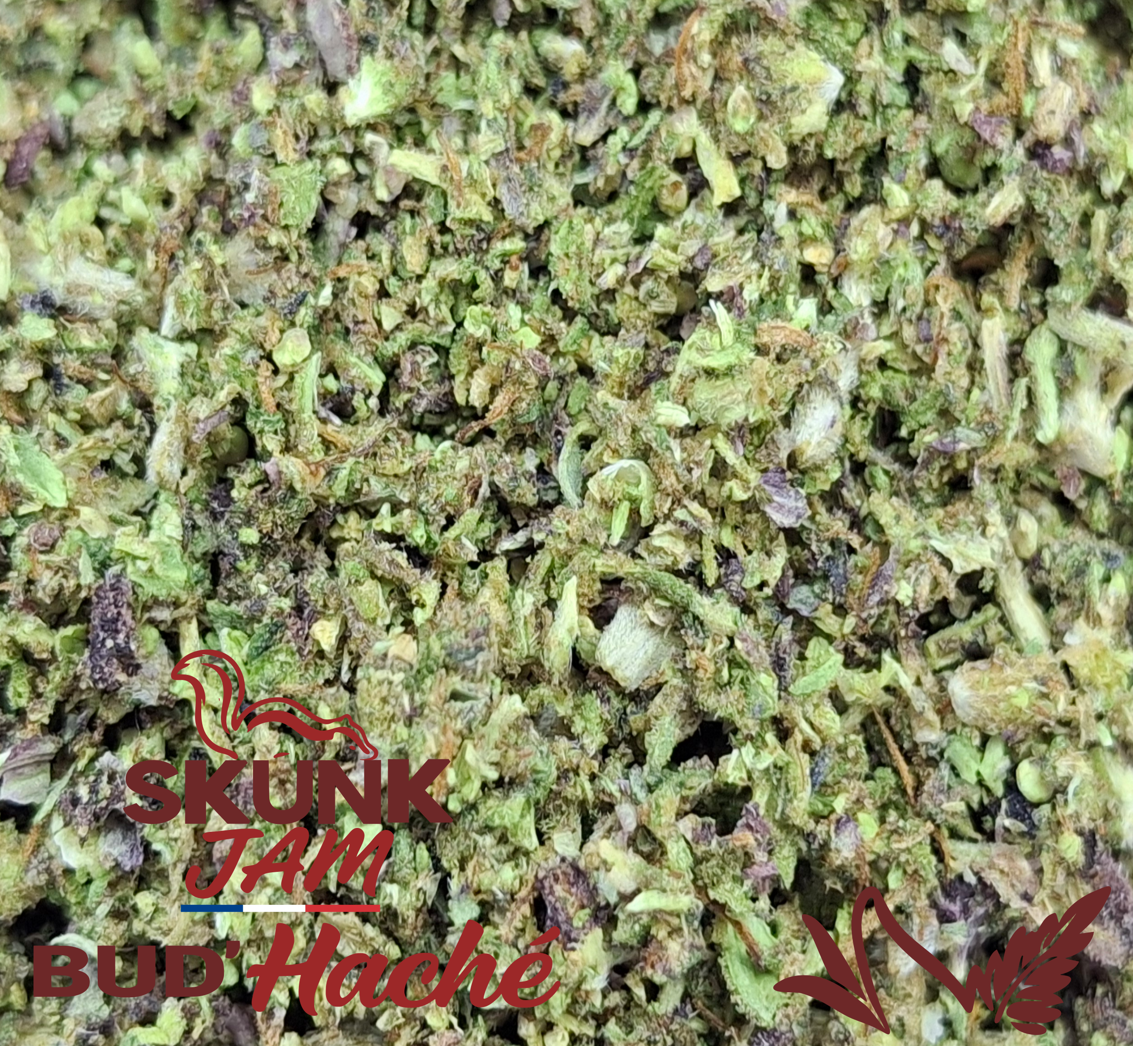 SKUNK JAM BUD'HACHÉ 100% FLEURS