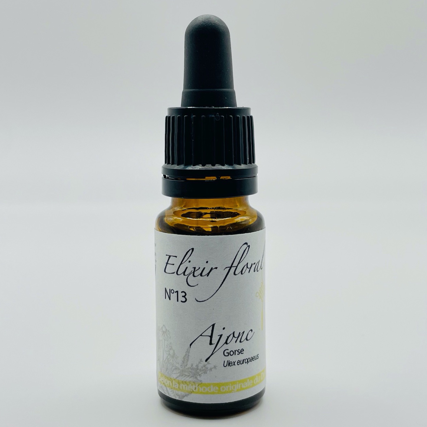 AJONC, Ulex europaeus, GORSE - 13 - 10ml