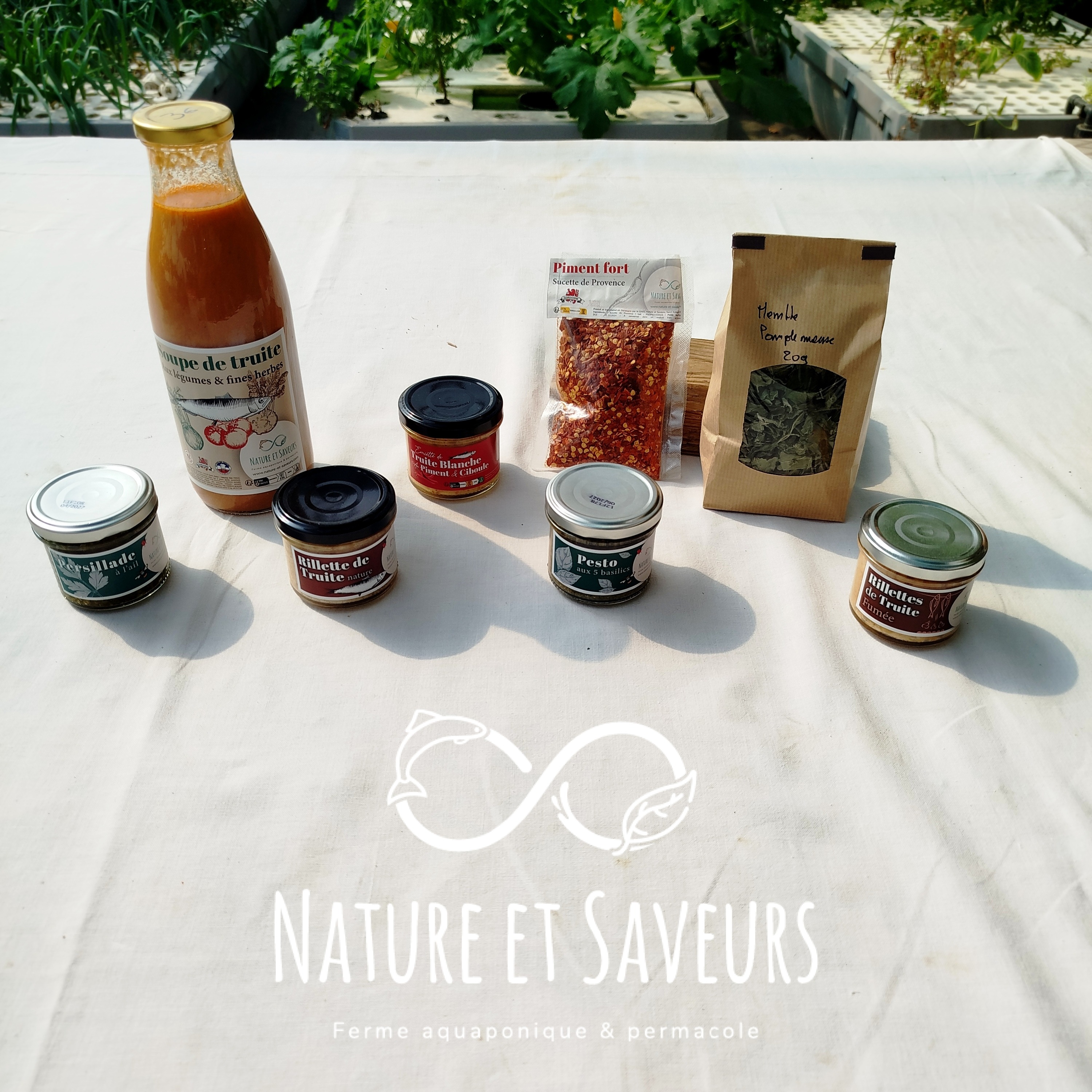 Coffret CADEAU (Entreprise à DLC longue) - 2100g