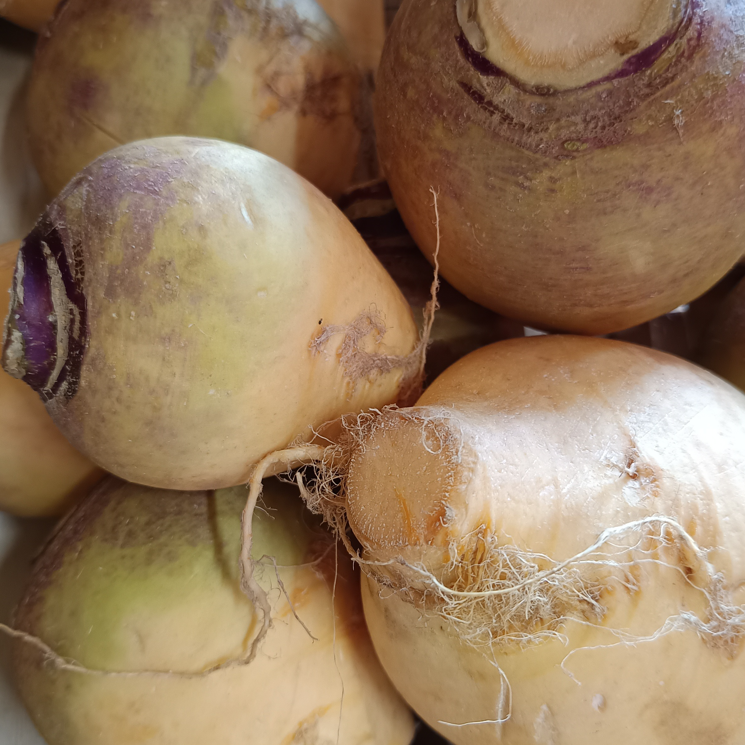 Rutabaga (env. 500g.)