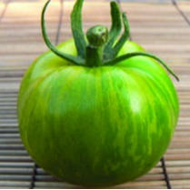 Tomates vertes