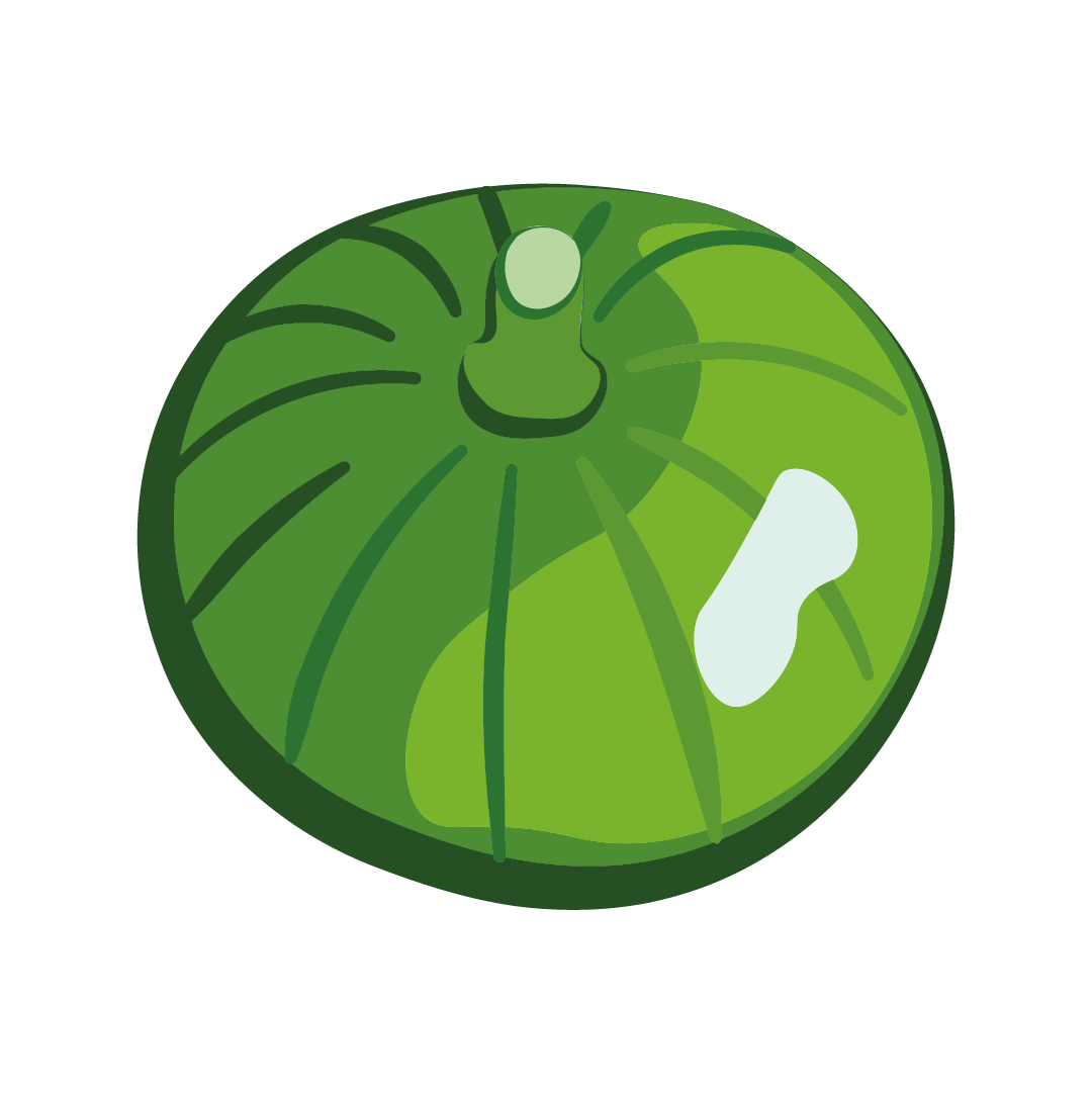 Courgette Zapallito