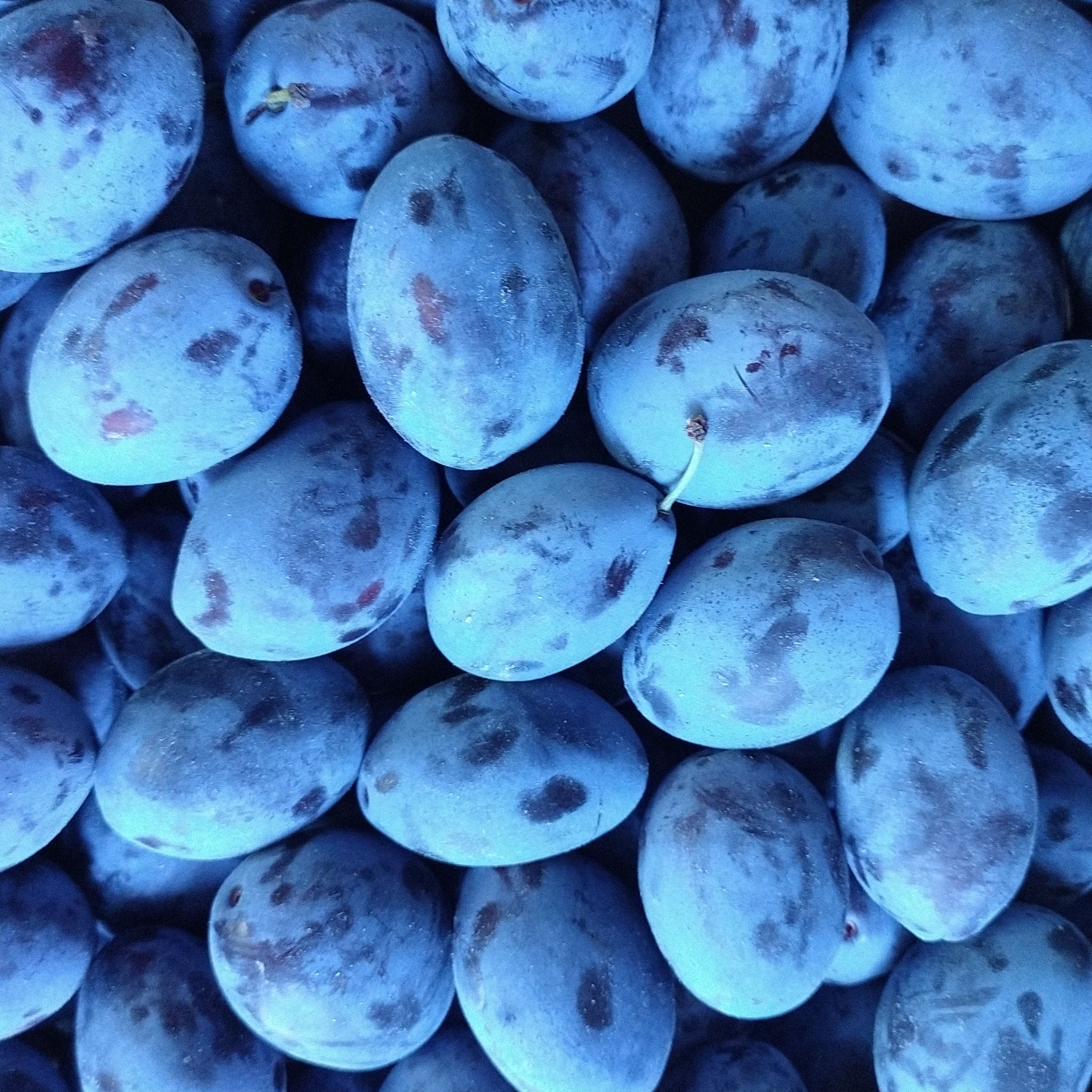 Prune