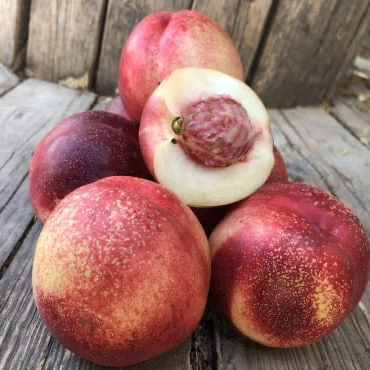 Nectarine (1kg)