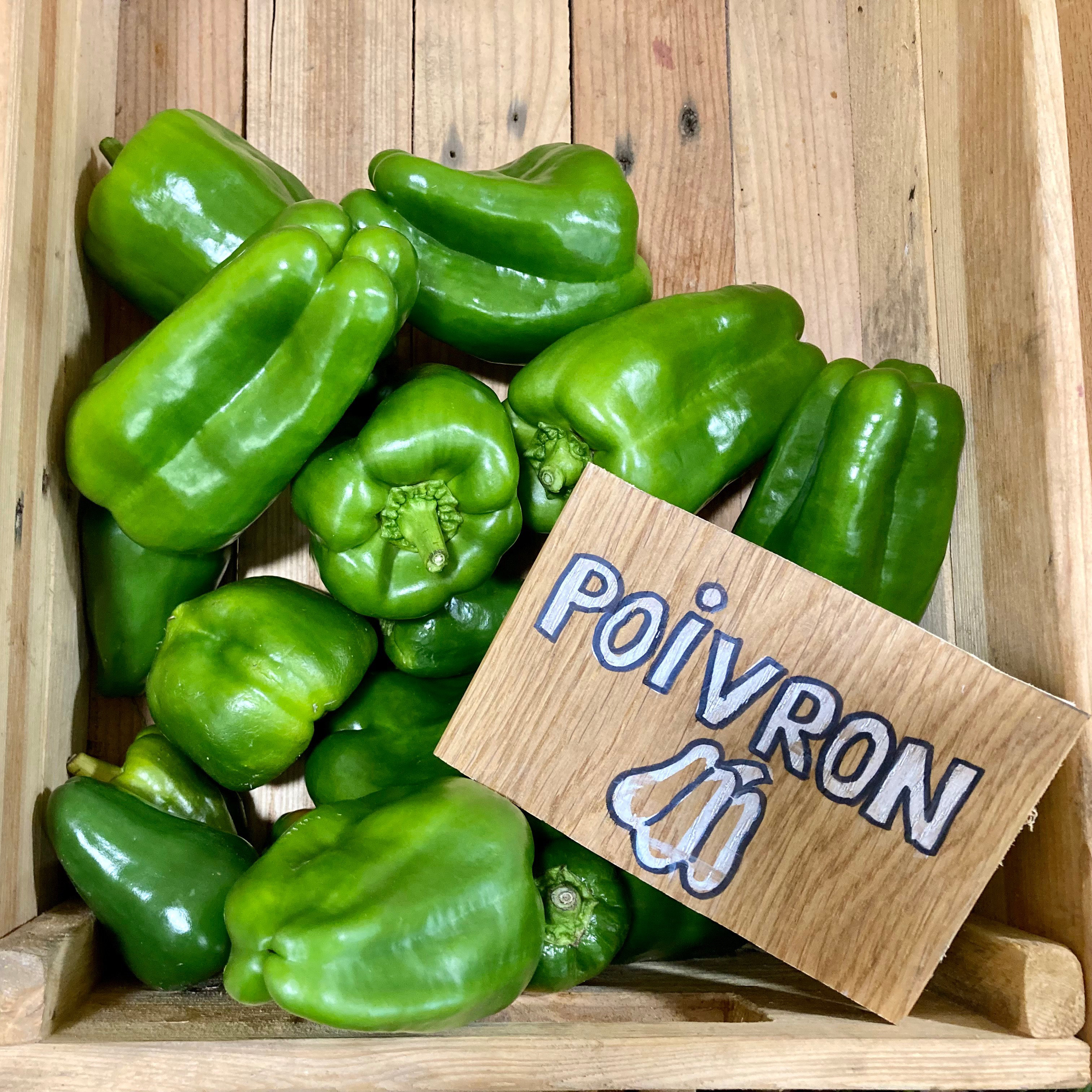 Poivron (Kg)