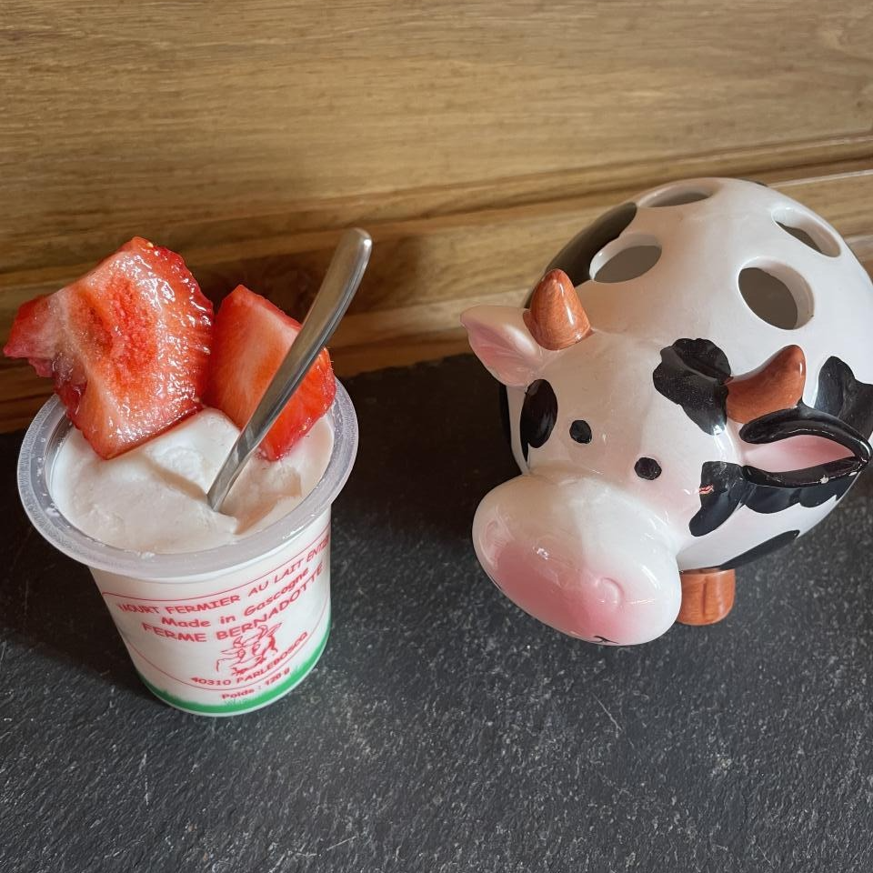 YAOURT AROMATISE FRAISE - 12cl