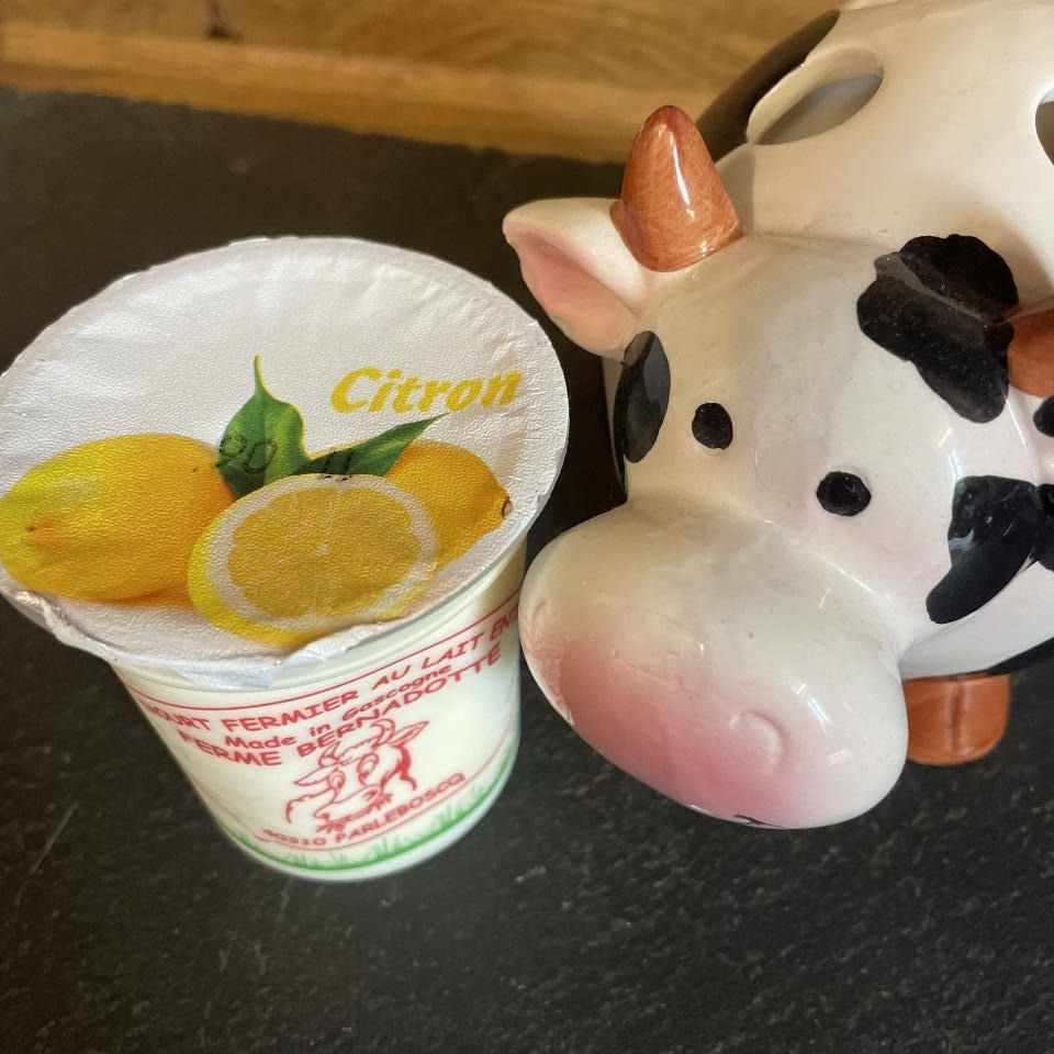 YAOURT AROMATISE CITRON - 12cl