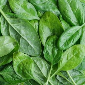 Epinard jeunes pousses - 100g