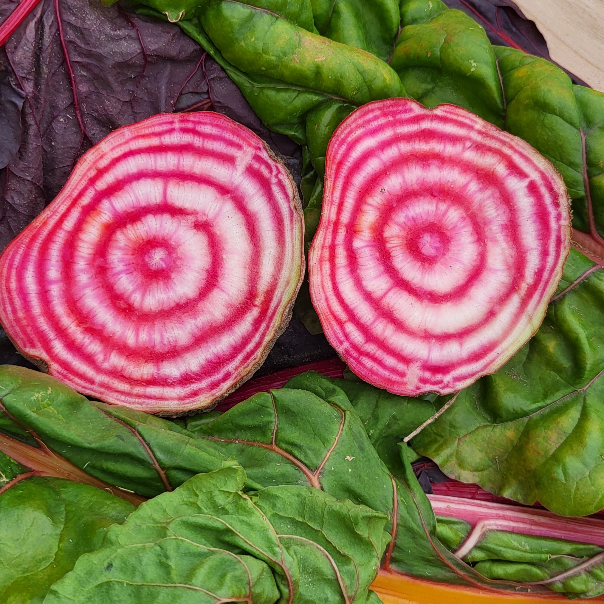 Betterave rayée - 500g