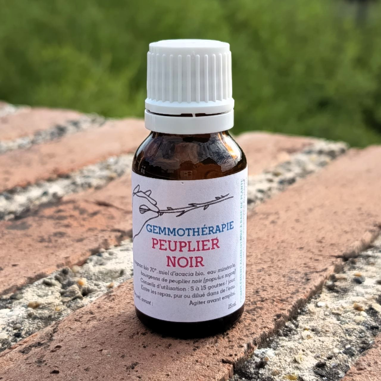 Peuplier noir • Effet propolis & Draineur circulatoire - 15ml