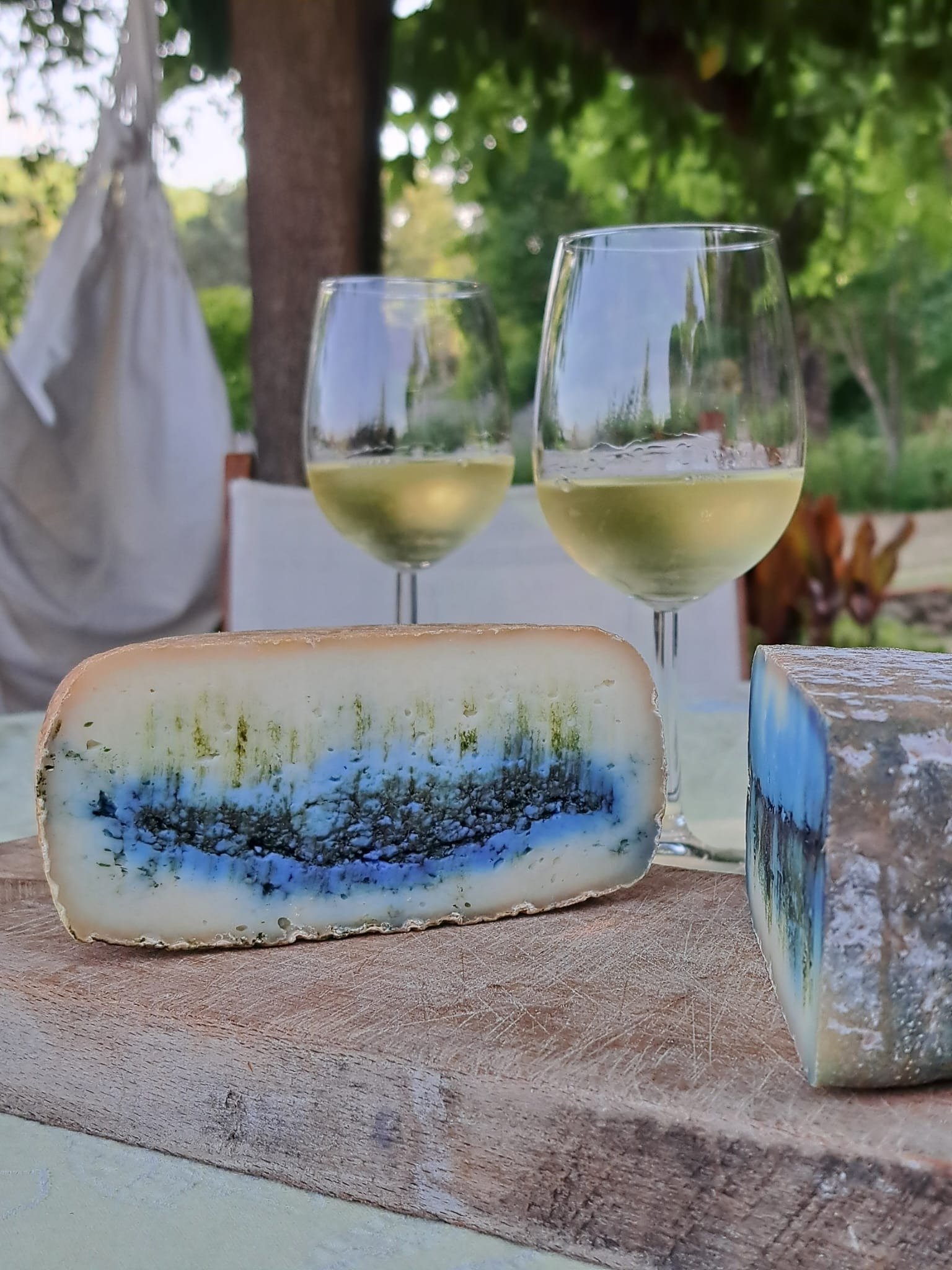 Tommette de chèvre bio'