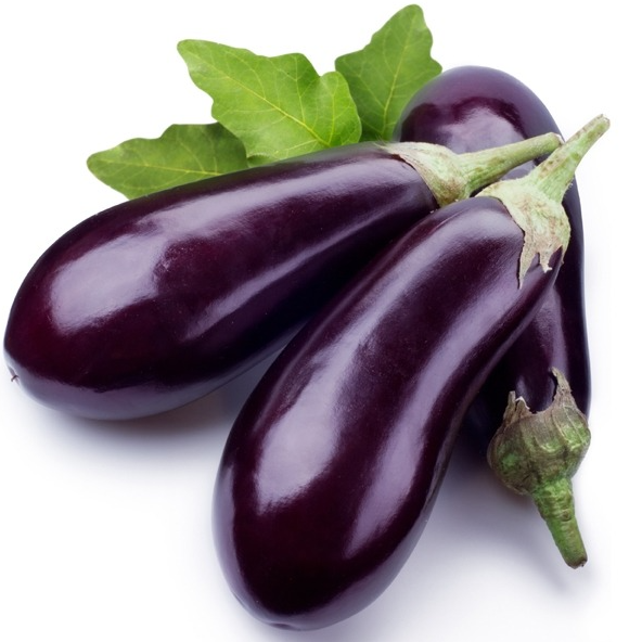 Aubergine