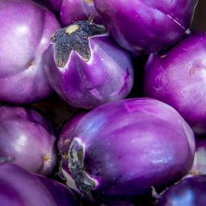 Aubergine Rosa Bianca - 400g