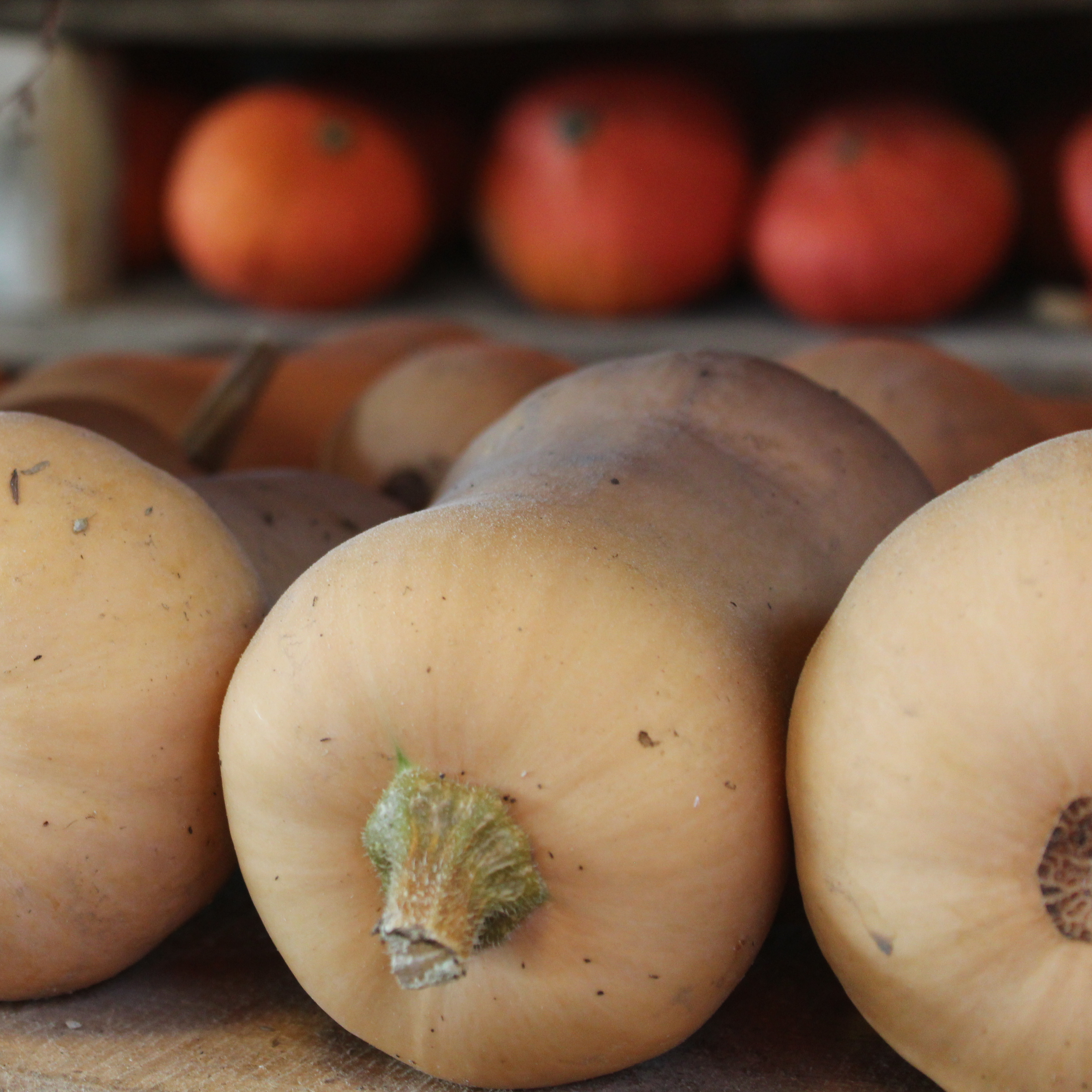 Courge Butternut - 1kg