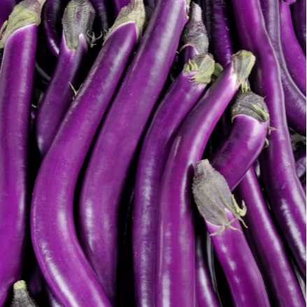 Aubergine Japonaise