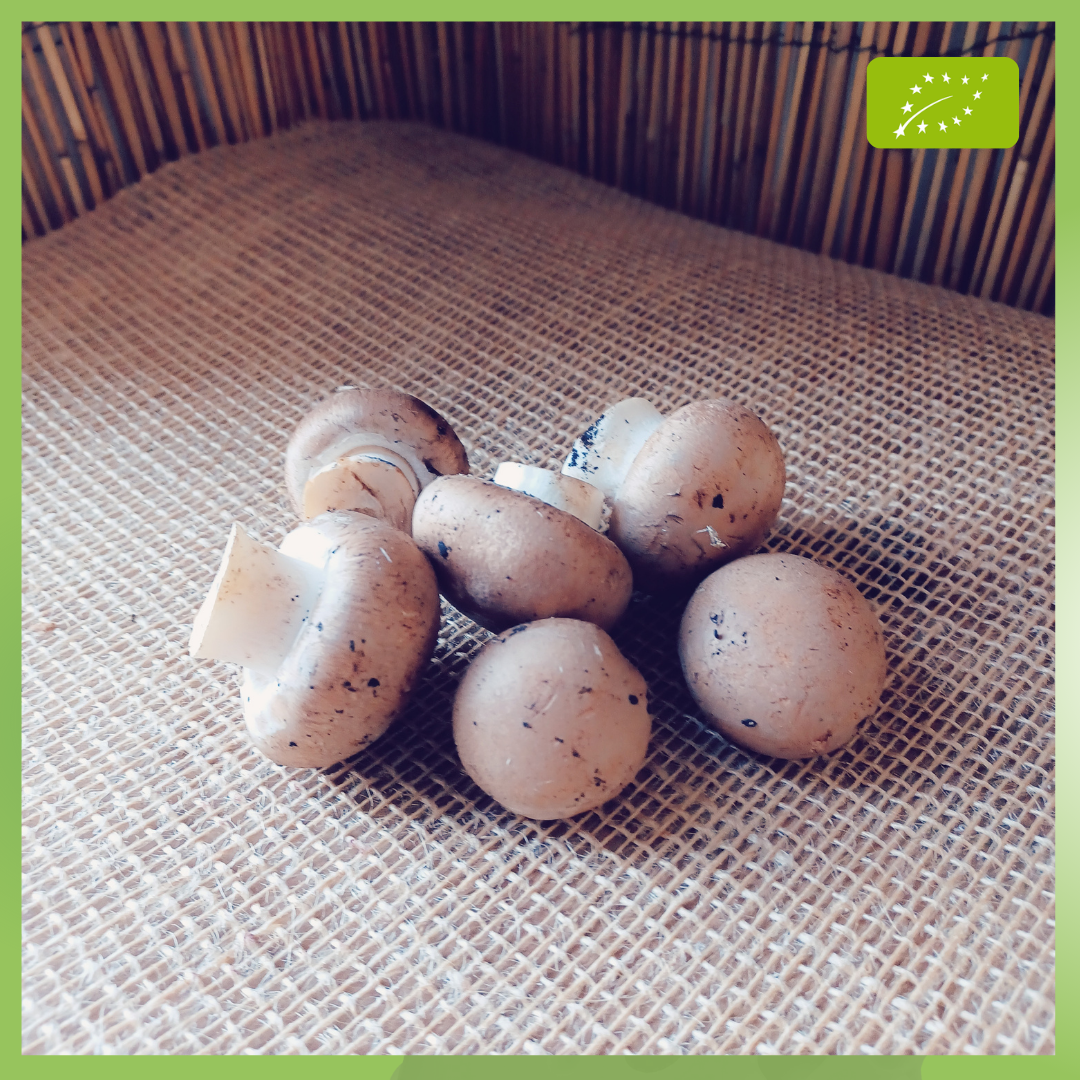 Champignons - 250g