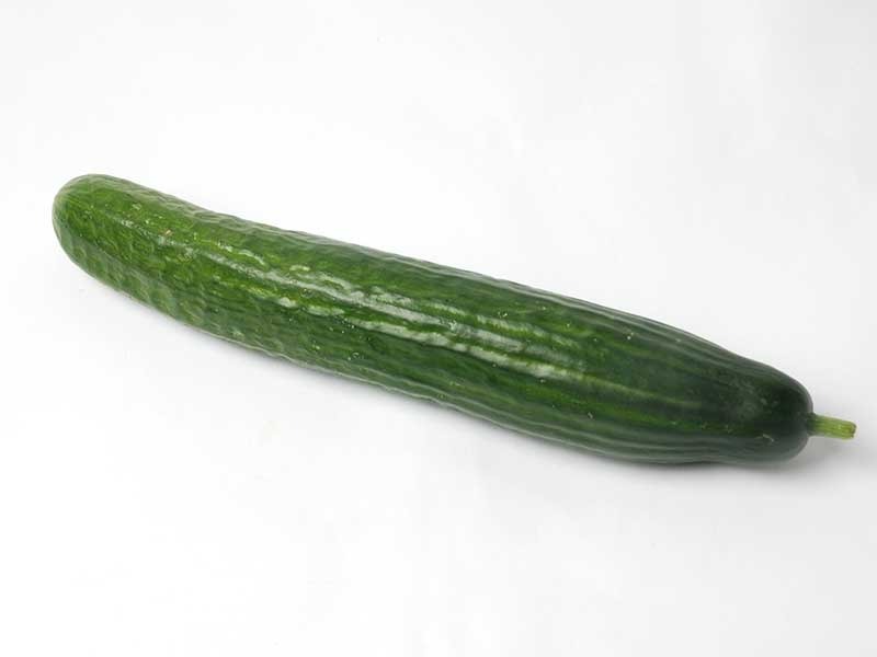 Concombre