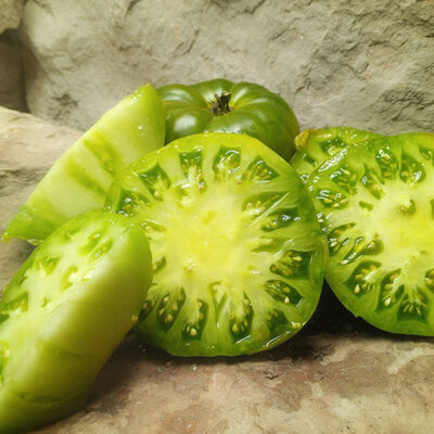 Plant de Tomate - Grub's Mystery Green