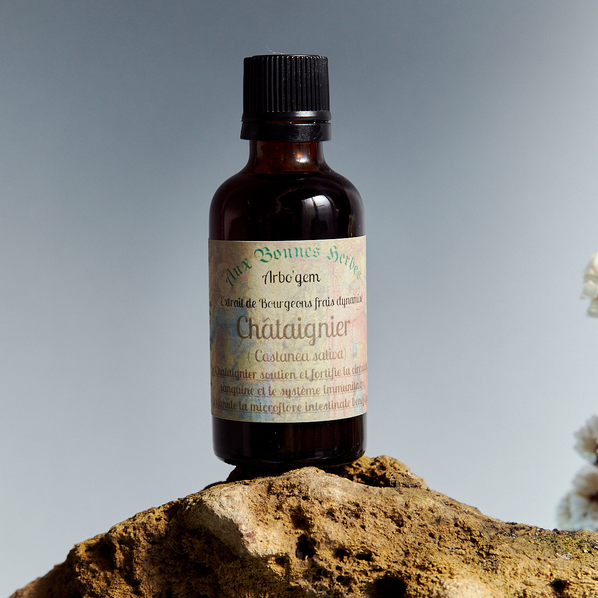 Chataignier - 50ml