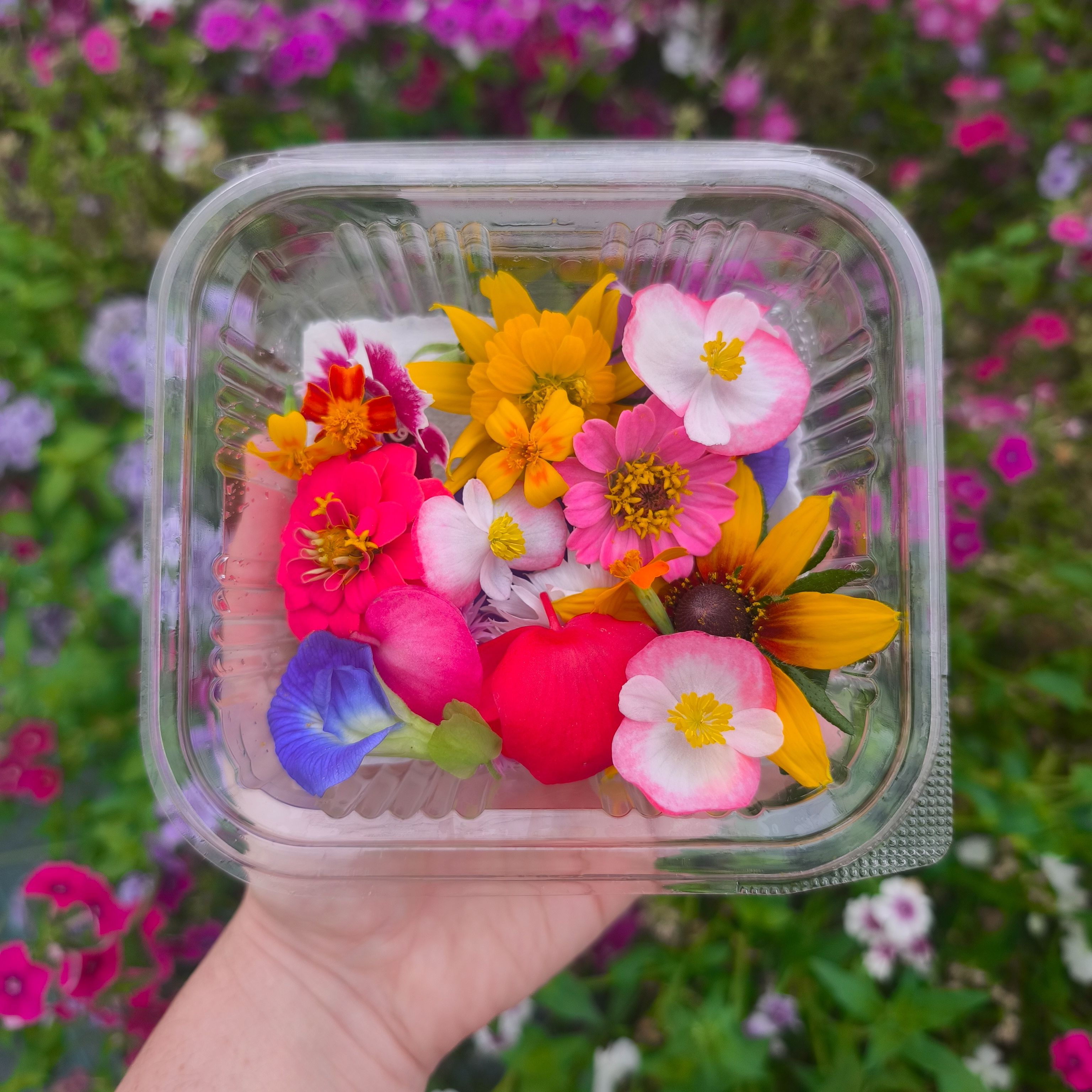 Barquette mixte fleurs