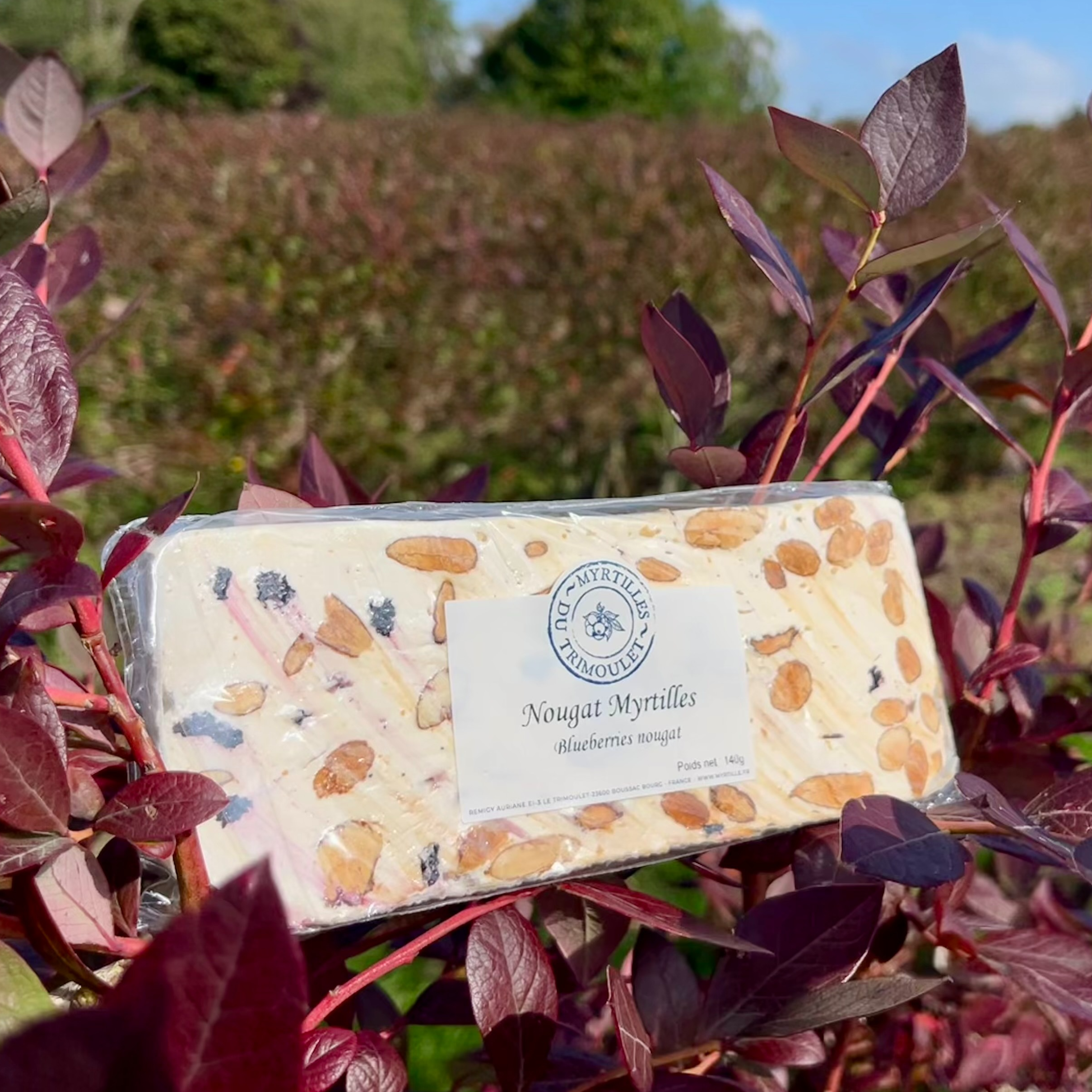 Nougat Myrtilles - 140g - 140g