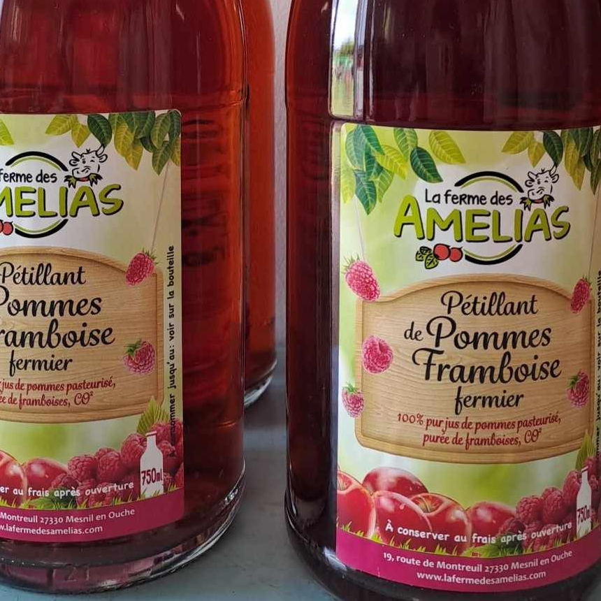 Pétillant de Pomme Framboise 0.75 L - (La Ferme des Amélias)- - 125g